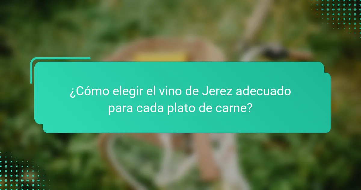 ¿Cómo elegir el vino de Jerez adecuado para cada plato de carne?