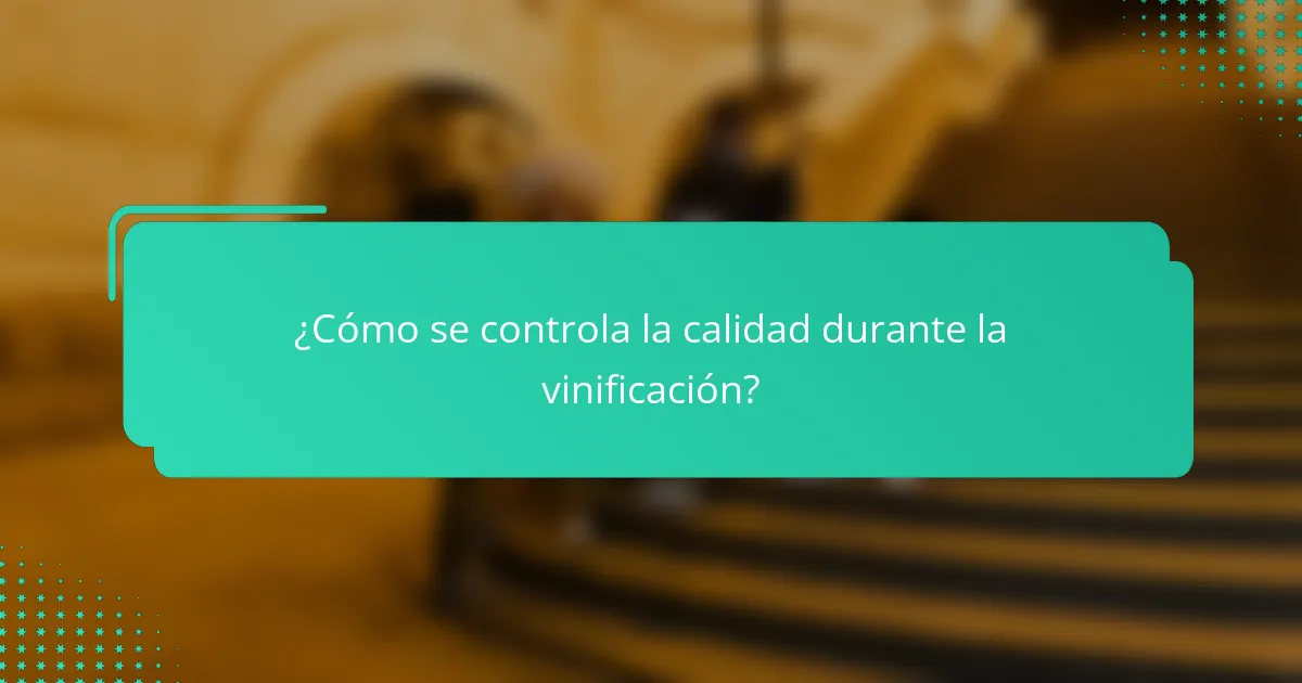 ¿Cómo se controla la calidad durante la vinificación?