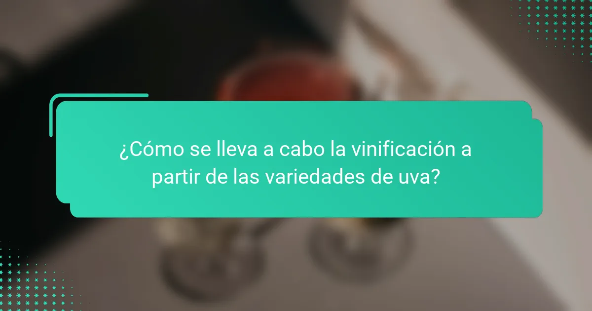 ¿Cómo se lleva a cabo la vinificación a partir de las variedades de uva?