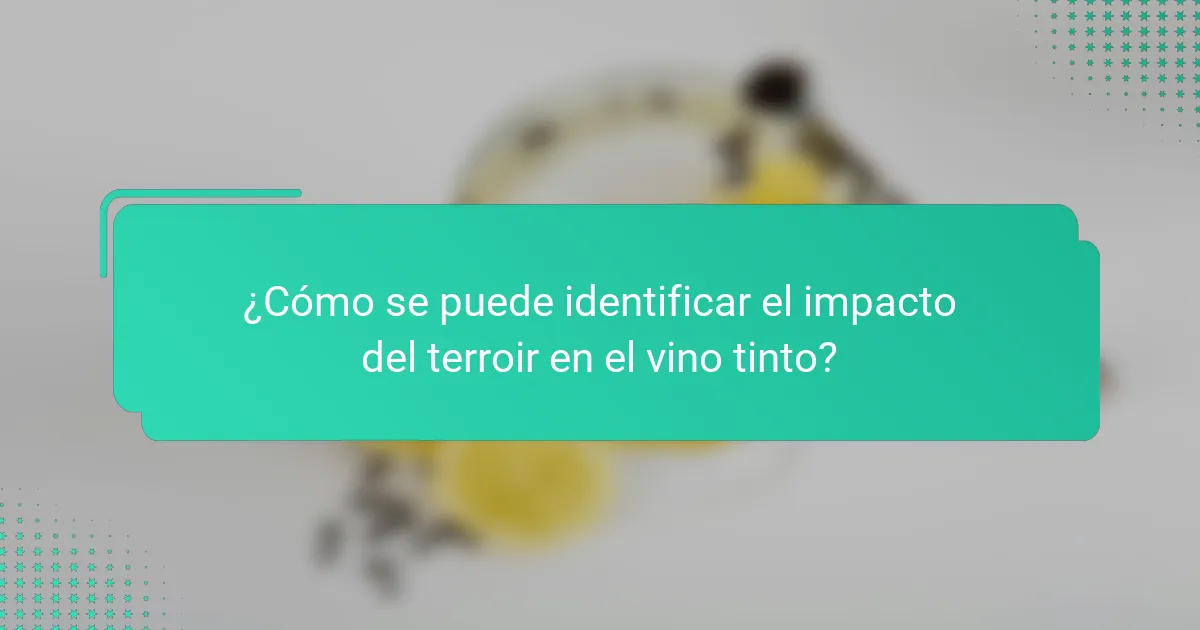 ¿Cómo se puede identificar el impacto del terroir en el vino tinto?