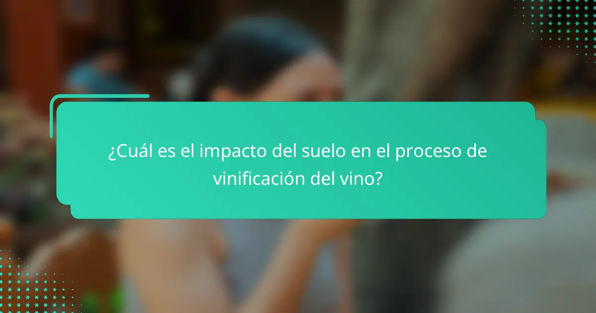 ¿Cuál es el impacto del suelo en el proceso de vinificación del vino?