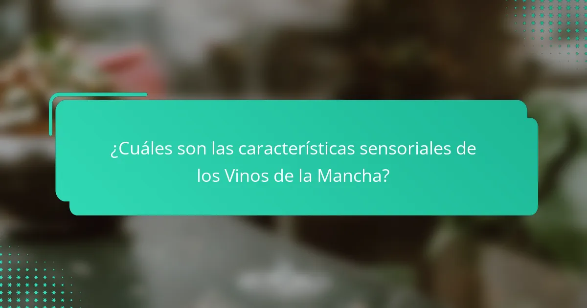 ¿Cuáles son las características sensoriales de los Vinos de la Mancha?