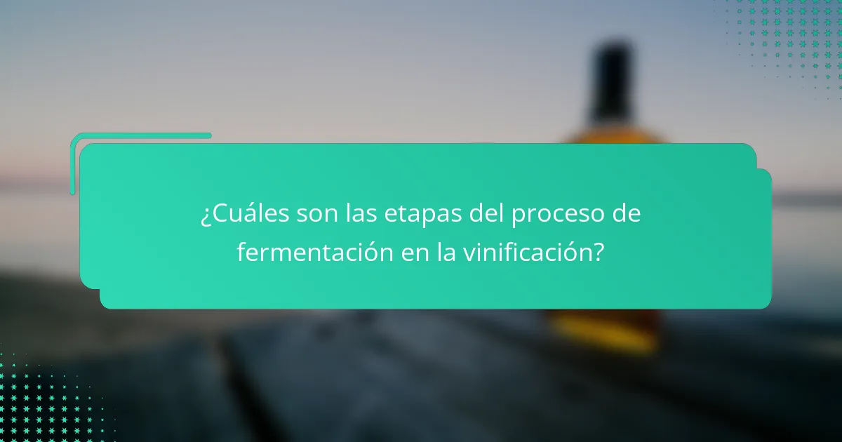 ¿Cuáles son las etapas del proceso de fermentación en la vinificación?