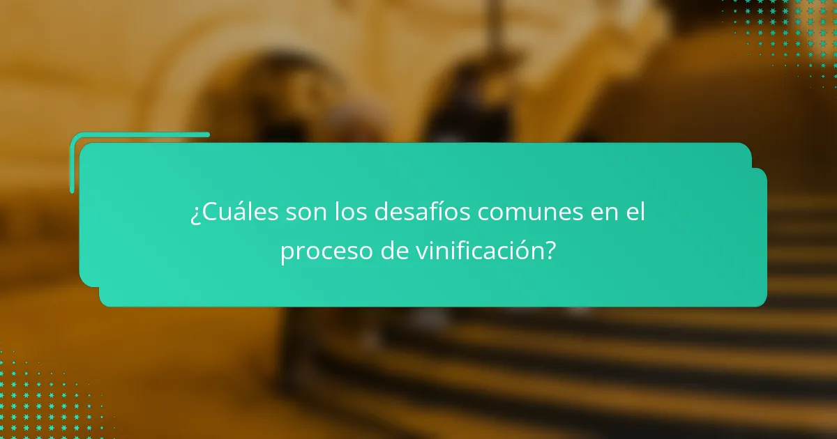 ¿Cuáles son los desafíos comunes en el proceso de vinificación?
