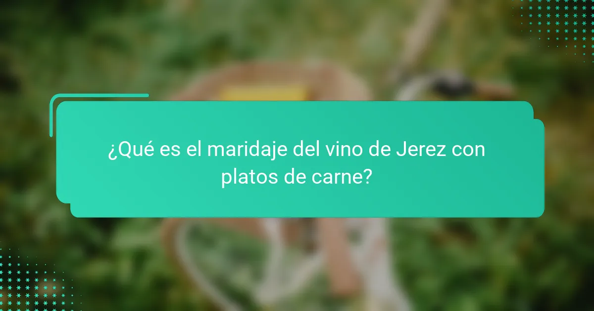 ¿Qué es el maridaje del vino de Jerez con platos de carne?