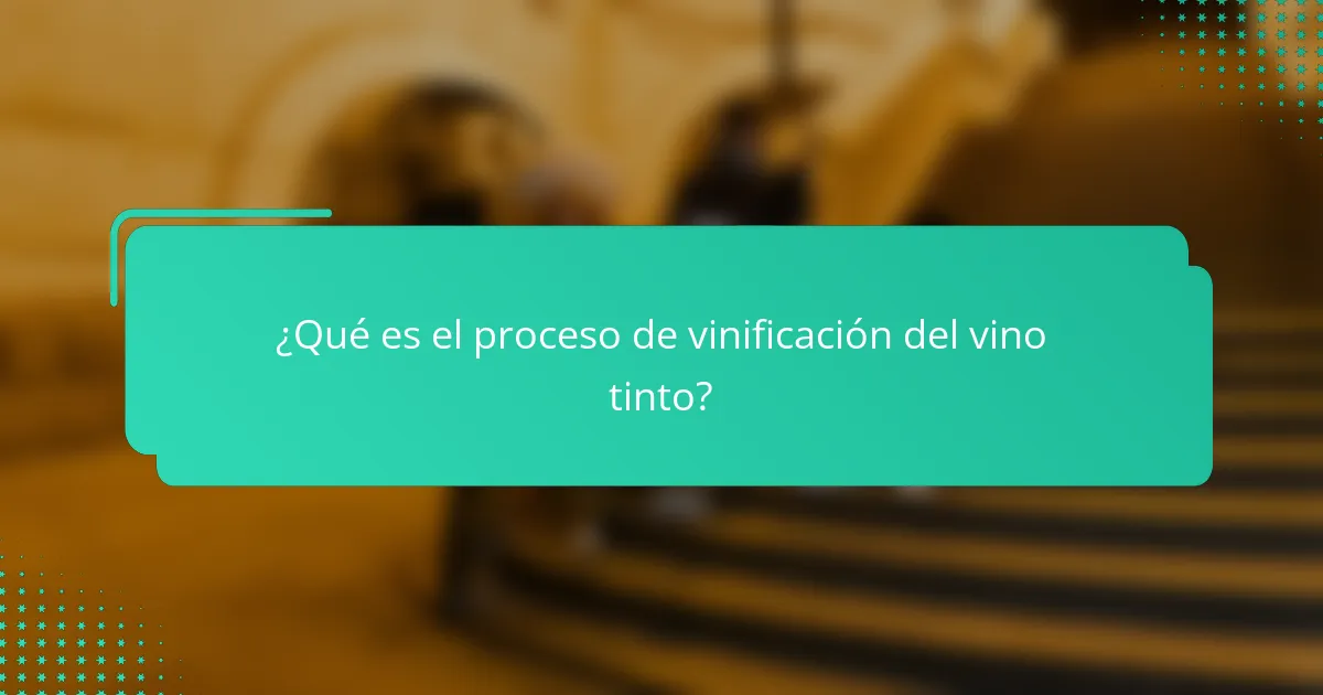 ¿Qué es el proceso de vinificación del vino tinto?