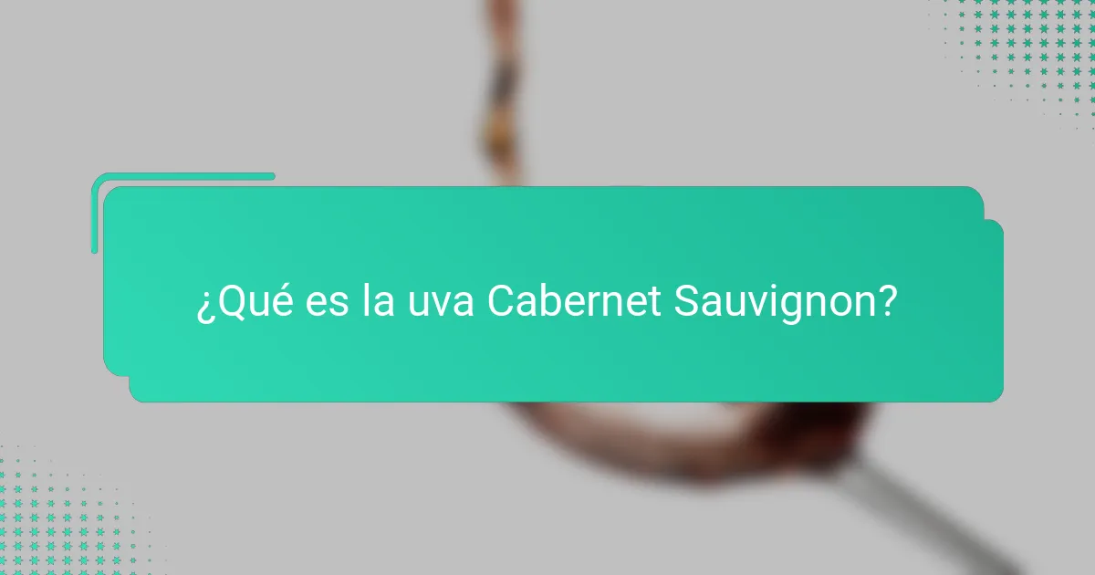 ¿Qué es la uva Cabernet Sauvignon?