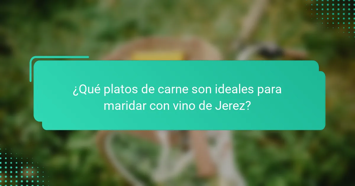 ¿Qué platos de carne son ideales para maridar con vino de Jerez?