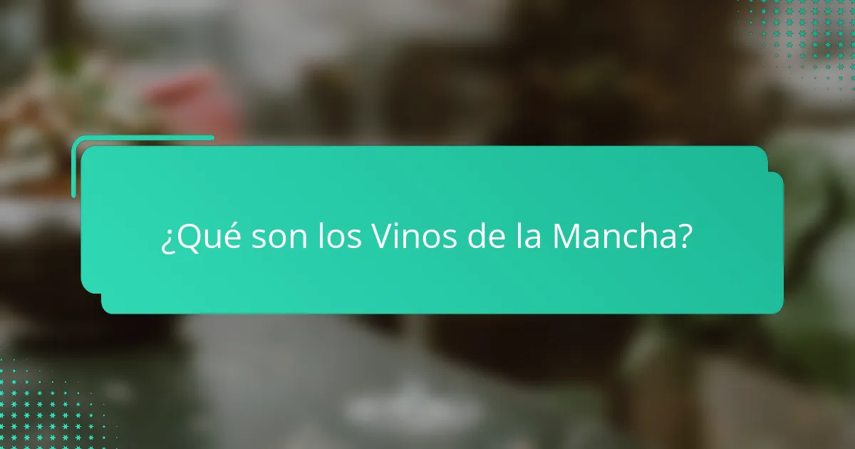 ¿Qué son los Vinos de la Mancha?