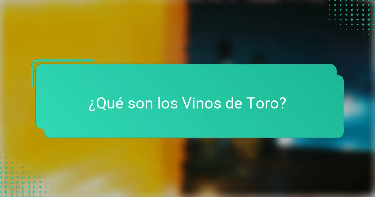 ¿Qué son los Vinos de Toro?