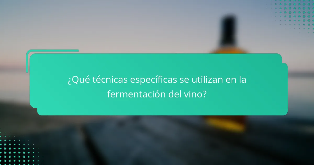 ¿Qué técnicas específicas se utilizan en la fermentación del vino?